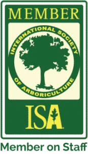 ISA member on staff