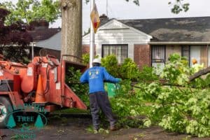 Long Island NY Tree Worker feeding tree chipper